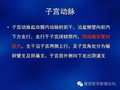 女性生殖系統CT診斷基礎與技術研發前沿（上篇）